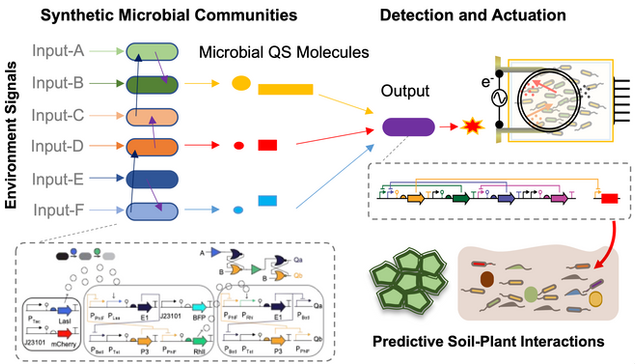 SynMicrobial_Communities.png