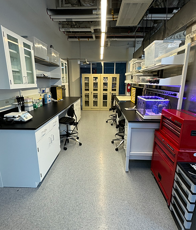Engineering_Lab-2