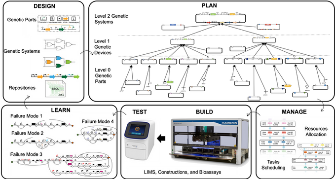DBTL_CIDAR_DAMP_workflow.png