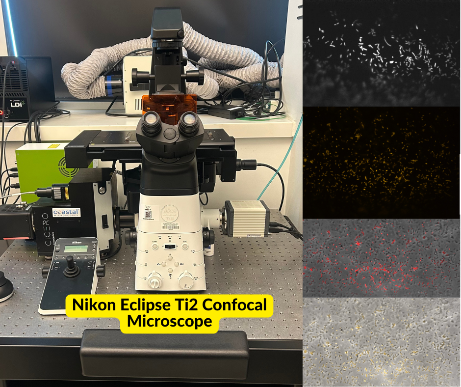Dr. Oliveira Presents at NanoSIMST 2025
